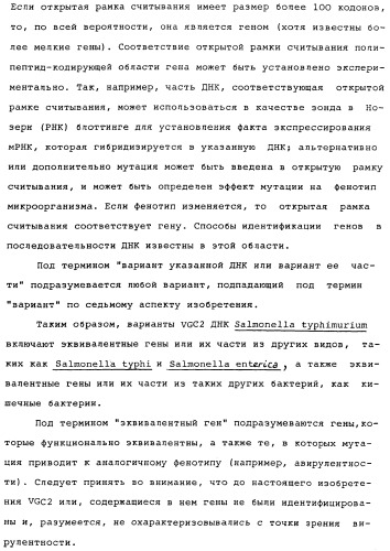 Vgc2 днк salmonella typhimurium, мутантная бактерия, обладающая пониженной способностью к адаптации к условиям окружающей среды, и способ ее получения (патент 2370541)