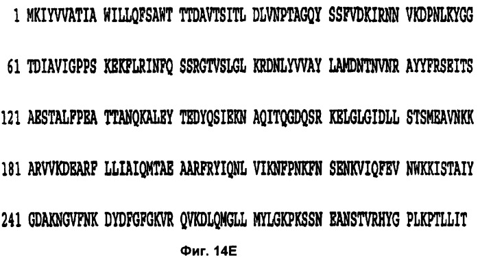 Слитые конструкции лекарственного средства и конъюгаты (патент 2428431)