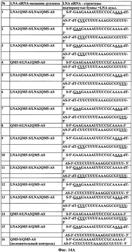 Новые структуры малых интерферирующих рнк (sirna) (патент 2487716)