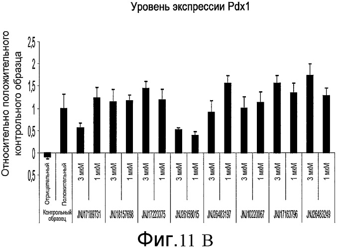 Способ размножения и дифференцирования плюрипотентных клеток (патент 2528764)