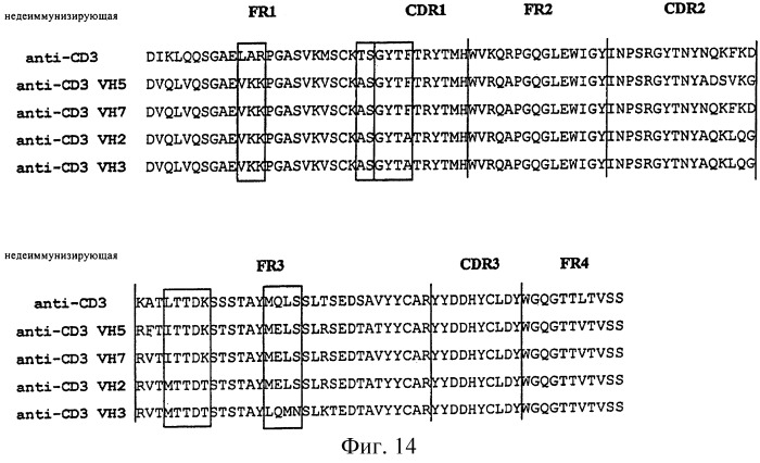 Полиспецифические деиммунизирующие cd3-связующие (патент 2401843)