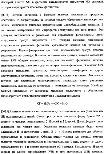 Иммуногенная композиция и способ разработки вакцины, основанной на участках связывания фактора н (патент 2364413)