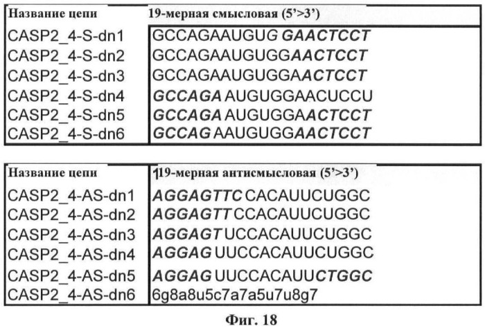 Новые структуры малых интерферирующих рнк (sirna) (патент 2487716)