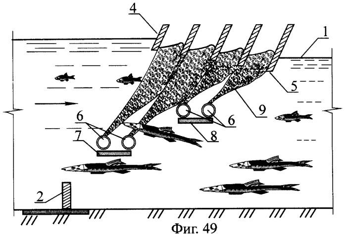 Рыбоход (варианты) (патент 2249653)