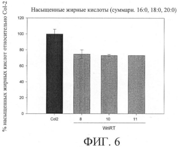 Молекулы нуклеиновых кислот, кодирующие wrinkled1-подобные полипептиды, и способы их применения в растениях (патент 2385347)