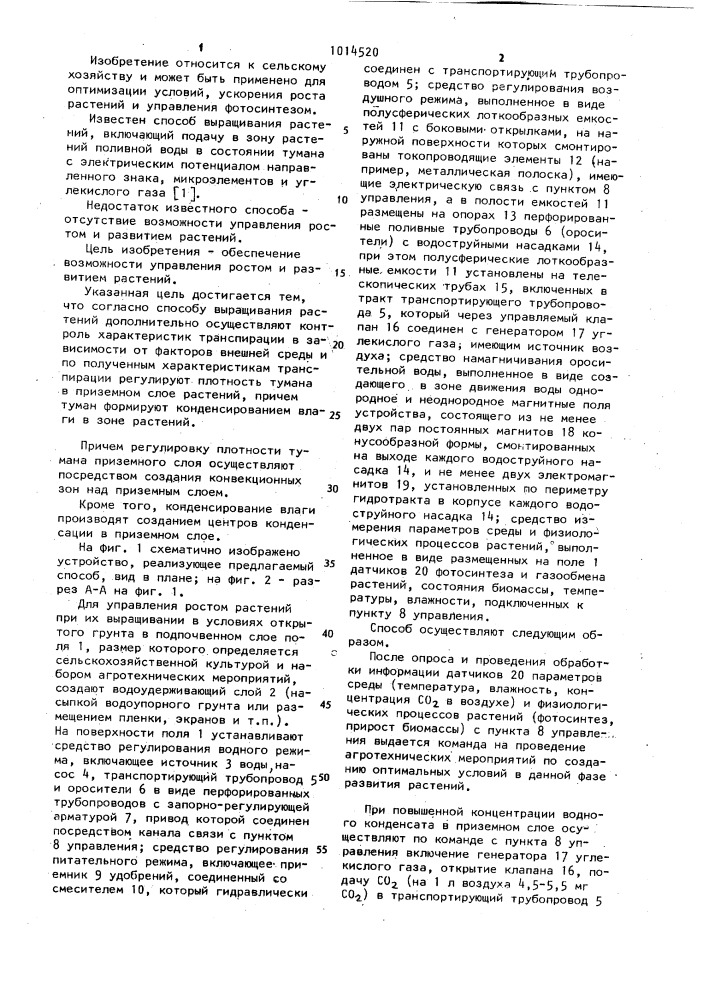 Способ выращивания растений (патент 1014520)