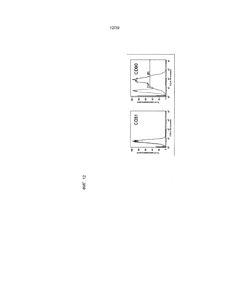 Клетки, производные от кардиальной ткани (патент 2642282)