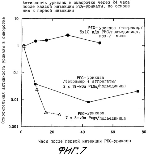 Конъюгаты peg-уратоксидазы, их использование, способ изолирования тетрамерной формы уриказы (патент 2349341)
