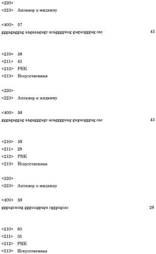 Аптамер против мидкина и его применение (патент 2460794)