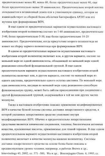 Вирусоподобные частицы, включающие гибридный белок белка оболочки бактериофага ар205 и антигенного полипептида (патент 2409667)