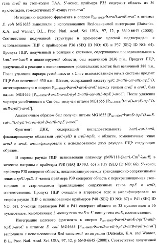 Способ конструирования оперонов, содержащих трансляционно сопряженные гены (патент 2411292)