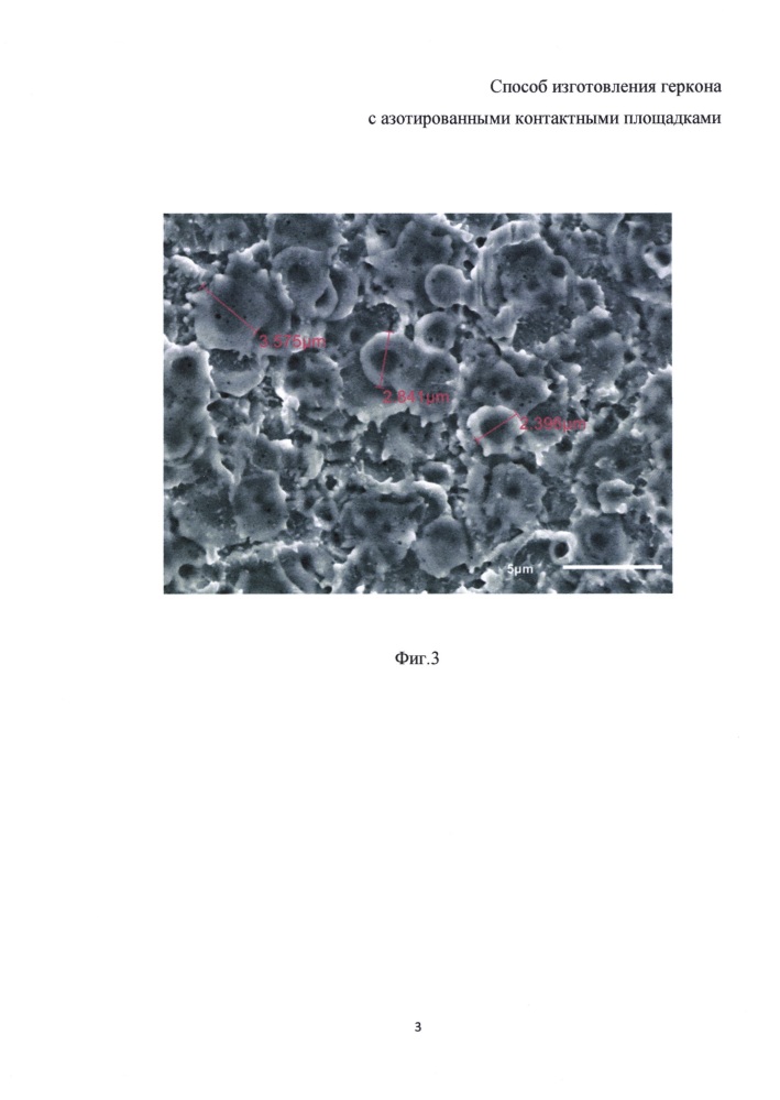 Способ изготовления геркона с азотированными контактными площадками (патент 2665689)