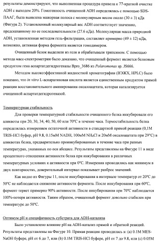 Бактерия семейства enterobacteriaceae - продуцент l-аспарагиновой кислоты или метаболитов, производных l-аспарагиновой кислоты, и способ получения l-аспарагиновой кислоты или метаблитов, производных l-аспарагиновой кислоты (патент 2472853)