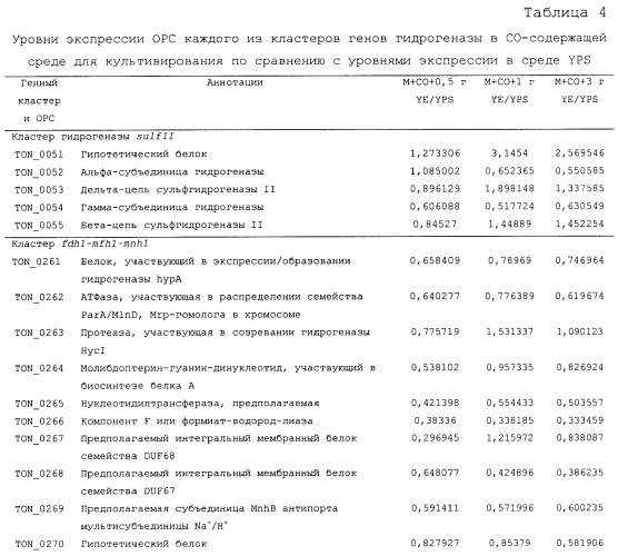 Новая гидрогеназа seq id no:5, очищенная из thermococcus onnurienus na1 с помощью моноokcида углерода, кодирующие ее гены, и способы получения водорода с использованием микроорганизма, имеющего указанные гены (патент 2460789)