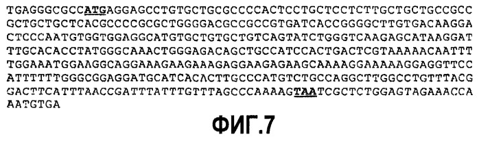 Ингибирование ангиогенеза (патент 2471498)