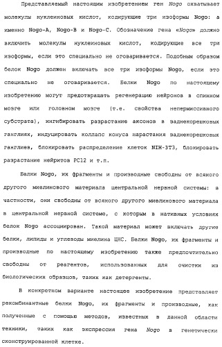 Поликлональное антитело против nogo, фармацевтическая композиция и применение антитела для изготовления лекарственного средства (патент 2432364)