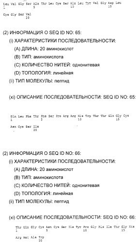 Очищенные белки оболочки вируса гепатита с для диагностического и терапевтического применения (патент 2313363)