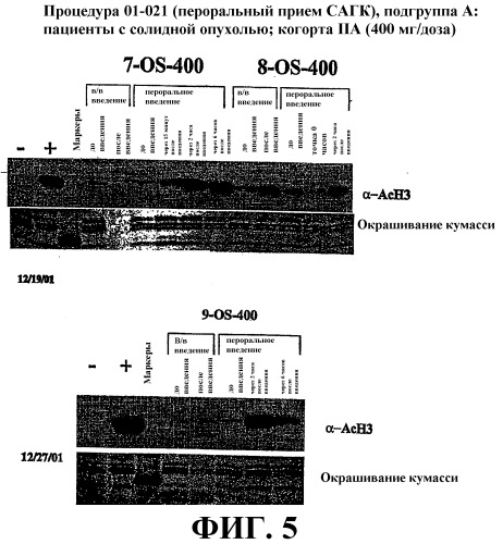 Способы индукции конечной дифференцировки (патент 2394022)