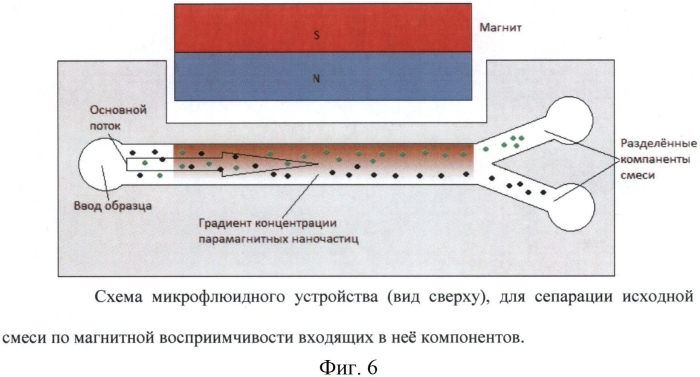 Способ манипулирования и сортировки объектов различной природы, микронного и субмикронного масштаба в микрофлюидных системах при помощи градиентов концентрации парамагнитных наночастиц (патент 2583928)