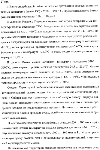 Способ прогнозирования семенной продуктивности солодки (патент 2364078)