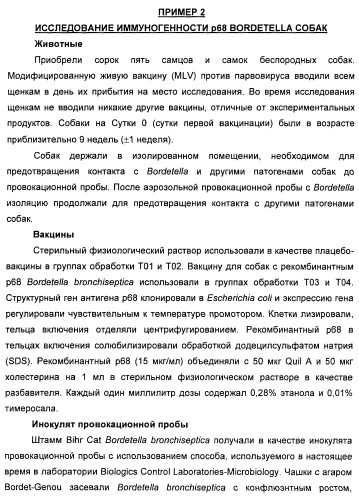 Поливалентные вакцины для собак против leptospira bratislava и других патогенов (патент 2400248)