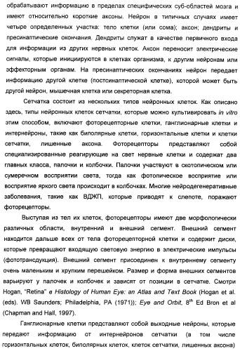 Соединения, представляющие собой алкинилфенильные производные, для лечения офтальмических заболеваний и расстройств (патент 2470910)