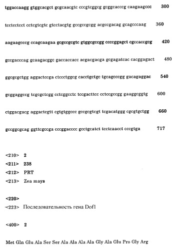 Картофель с повышенным выходом крахмала в пересчете на отдельное растение и способ его получения (патент 2289914)