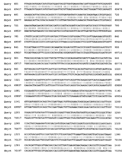 Штаммы lactobacillus plantarum и lactobacillus brevis, синтезирующие гамма-аминомасляную кислоту (патент 2575625)