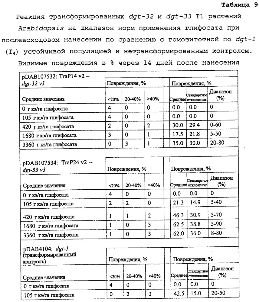 Синтетические транзитные пептиды хлоропласта из brassica (патент 2636035)