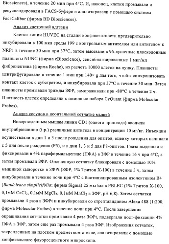 Антагонисты нейропилина (патент 2425842)