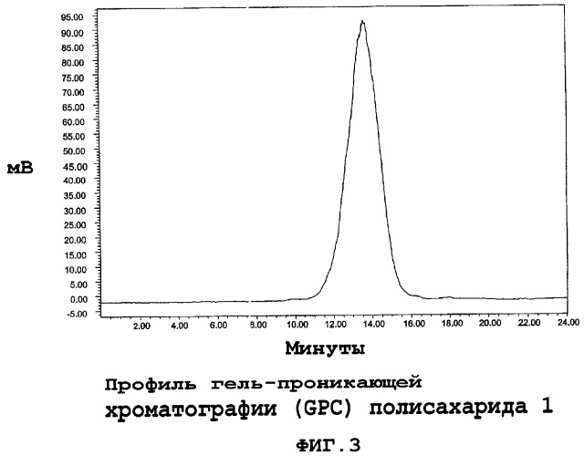 Полисахарид из корней echinacea angustifolia, способ его получения, фармацевтическая композиция (патент 2308460)