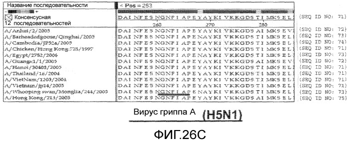 Иммуногенные композиции и способы (патент 2468034)