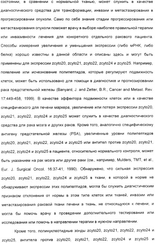 Выделенный полипептид, обладающий антивирусной активностью (варианты), кодирующий его полинуклеотид (варианты), экспрессирующий вектор, рекомбинантная клетка-хозяин, способ получения полипептида, антитело, специфичное к полипептиду, и фармацевтическая композиция, содержащая полипептид (патент 2321594)