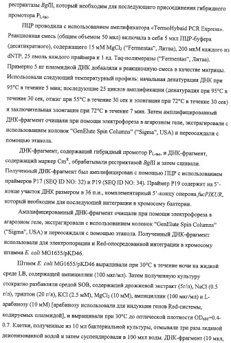 Способ получения l-треонина с использованием бактерии, принадлежащей к роду escherichia, обладающей усиленной экспрессией оперона fucpikur (патент 2318870)