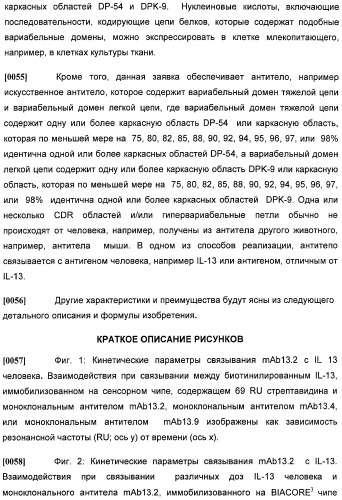 Антитела против интерлейкина-13 человека и их применение (патент 2427589)