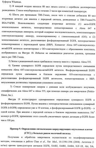 Чипы на основе антител для определения множественных трансдукторов сигналов в редких циркулирующих клетках (патент 2442171)