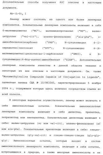 Антитела к her (патент 2504553)