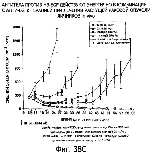 Белки, связывающие антиген фактор роста, подобный гепаринсвязывающему эпидермальному фактору роста (патент 2504551)