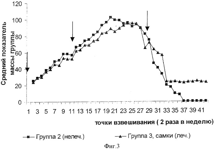 Способ продления жизни больных прионными болезнями (патент 2353379)