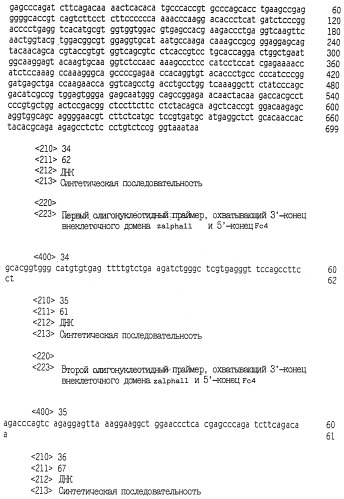 Новый цитокин zalpha11-лиганд (патент 2258710)