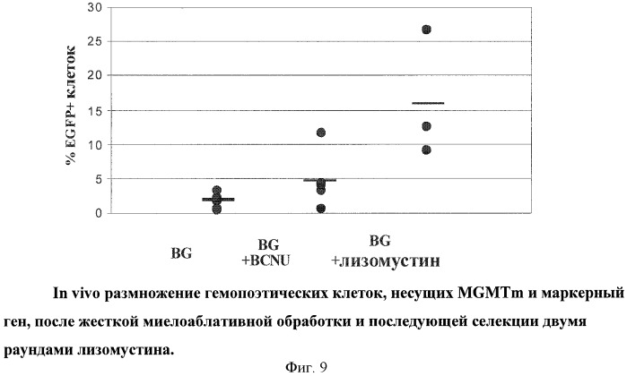 Способ селекции клеток in vivo с помощью лизомустина (патент 2425149)