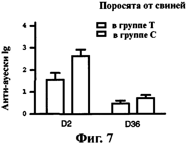 Кормовая добавка для домашнего скота и способ ее приготовления (патент 2388319)