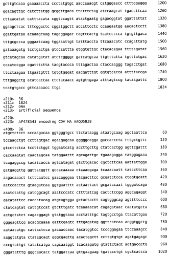 Композиции рекомбинантного cdv и ее применение (патент 2567337)