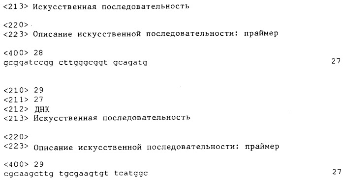 Трансформированные молочно-кислые бактерии, снижающие склонность к проявлению аллергических реакций, и их применение (патент 2294366)