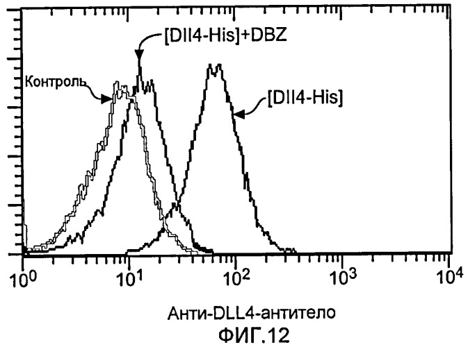 Антитела против dll4 и способы их применения (патент 2415869)