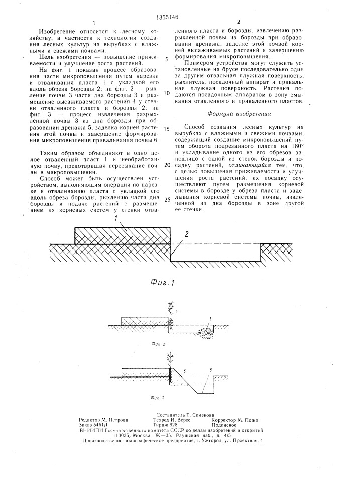 Способ создания лесных культур (патент 1355146)