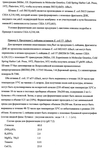 Способ получения l-треонина с использованием бактерии, принадлежащей к роду escherichia, в которой инактивирован ген fhua (патент 2333955)