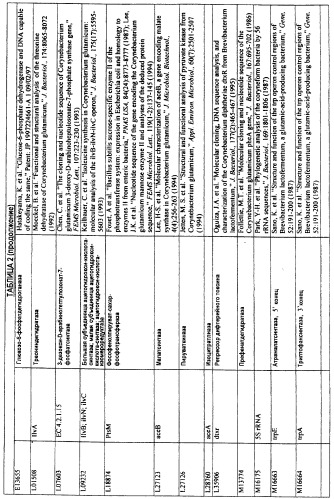Гены corynebacterium glutamicum, кодирующие белки системы фосфоенолпируват-сахар-фосфотрансферазы (патент 2326170)