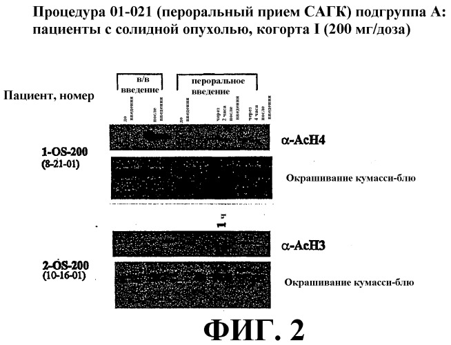 Способы индукции конечной дифференцировки (патент 2394022)