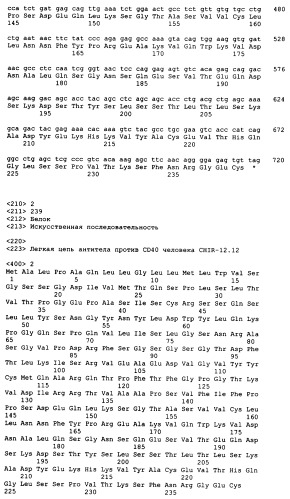 Применения антител против cd40 (патент 2442605)